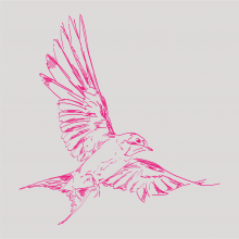 Graphic drawing of a Barn Swallow (bird)